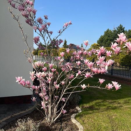 Apartamenty Bursztynowe Dębki Exterior foto